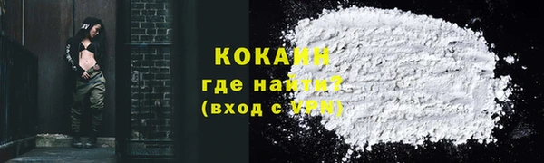ECSTASY Бородино