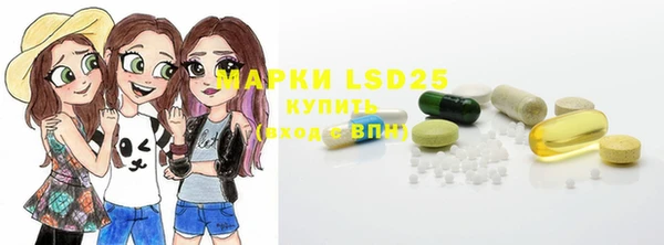ECSTASY Бородино