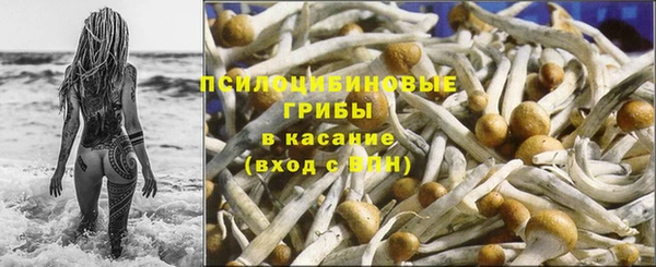 ECSTASY Бородино