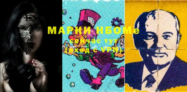 ECSTASY Бородино