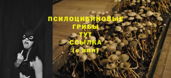 прущая мука Бугульма
