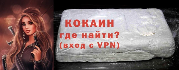 ECSTASY Бородино